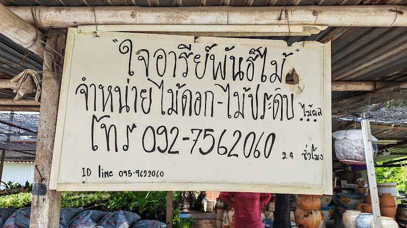 ร้านใจอารีย์พันธ์ุไม้ ข้างโรงพยาบาลอ่างทองเวชการ2-หมอประเจิด - 2