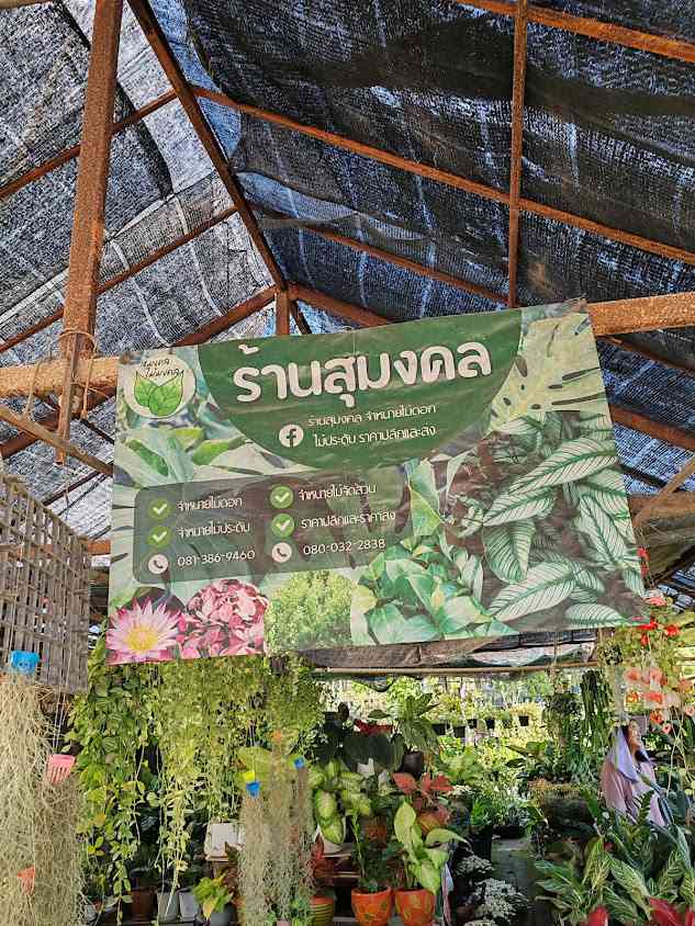 ร้านใบหม่อน - 3