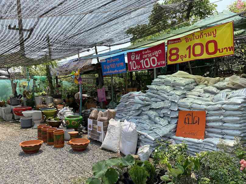 ร้านไผ่หวายขายต้นไม้ทุกชนิด