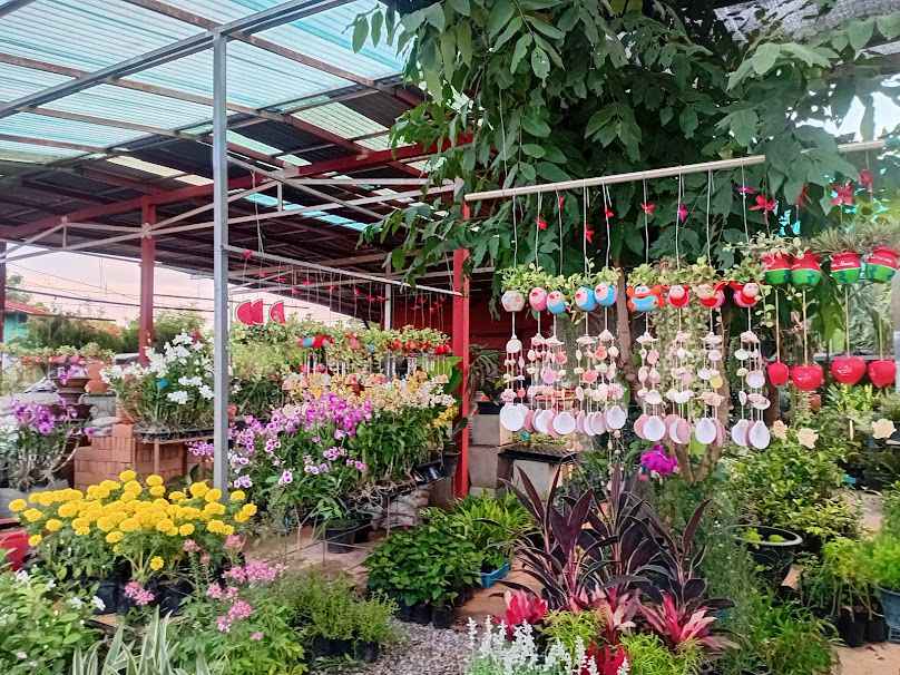 ร้านไผ่หวายขายต้นไม้ทุกชนิด - 4