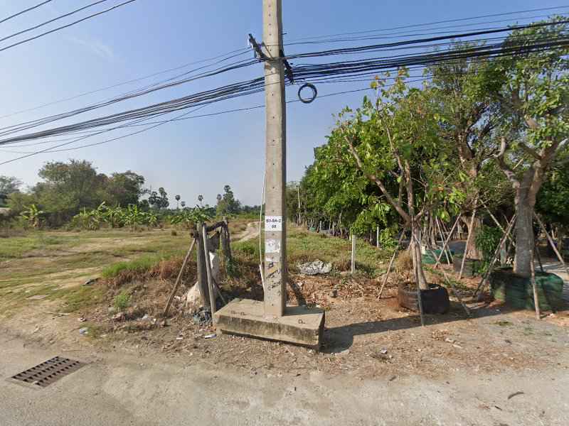 ร้านไพรพฤกษา ขายไม้ล้อม - 4