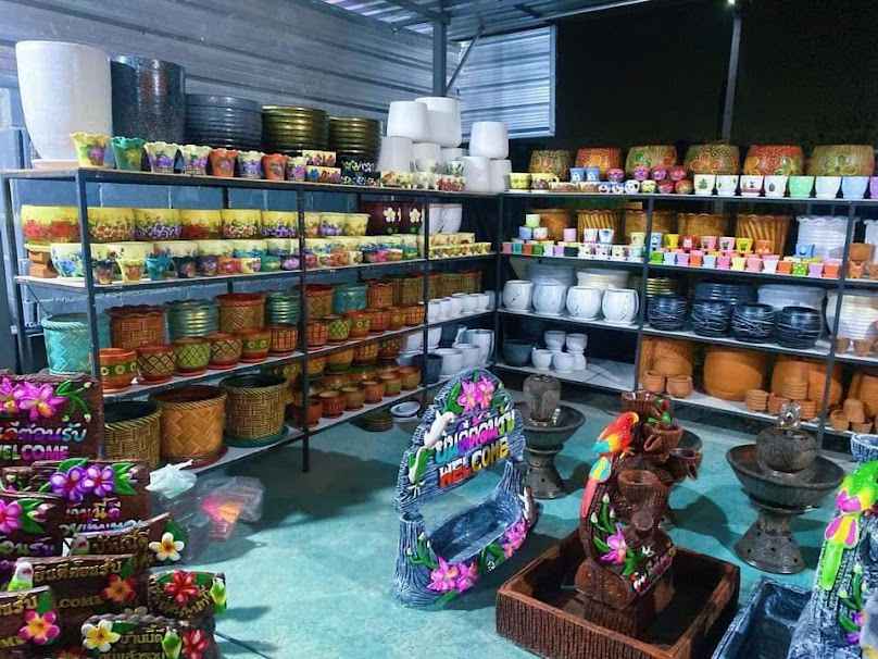 ร้านไม้งาม ร้านขายต้นไม้หนองก้างปลา - 3