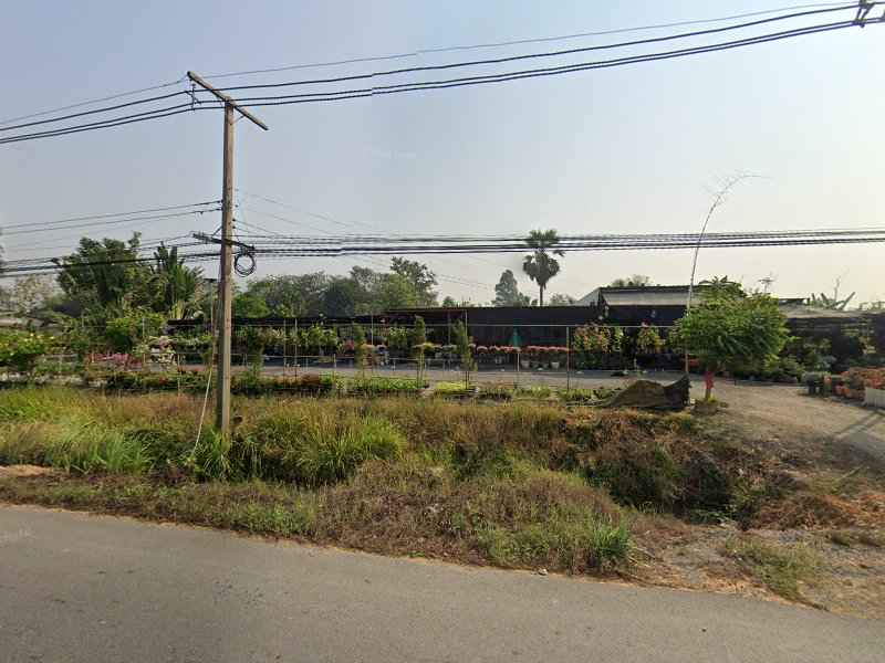 ร้านไม้เยอะสาขา2 - 4