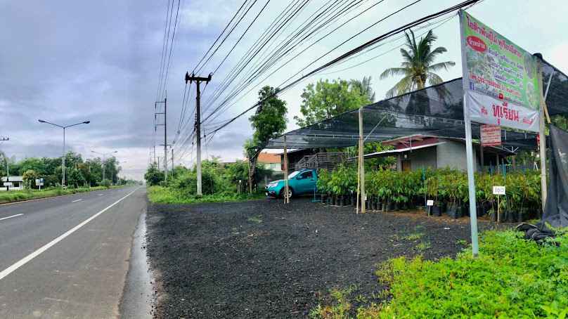 ร้านไอคิวพันธุ์ไม้อำนาจเจริญ
