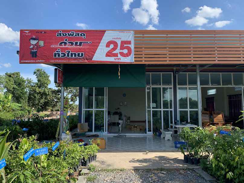 ร้านไอคิวพันธุ์ไม้อำนาจเจริญ - 3