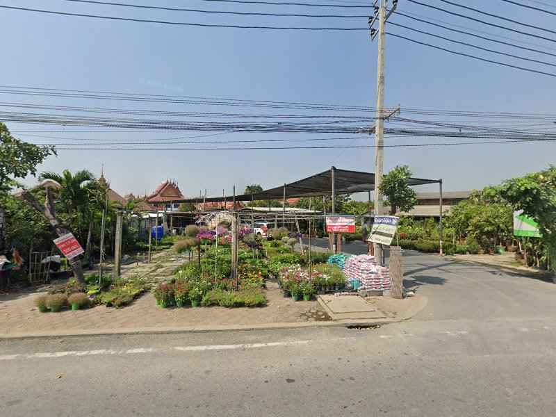 ร้าน ดำเนินการ์เด้น - 4