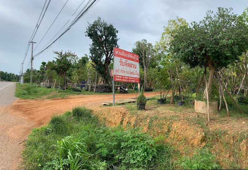 ร้าน มีนะฮ์ พันธุ์ไม้
