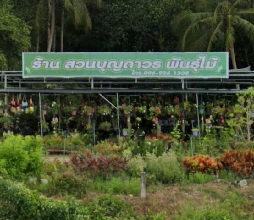 ร้าน สวนบุญถาวร พันธ์​ุไม้