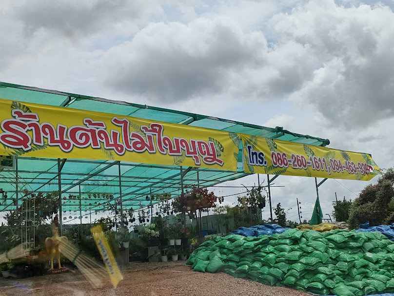 ร้าน สวนบุญถาวร พันธ์​ุไม้ - 2