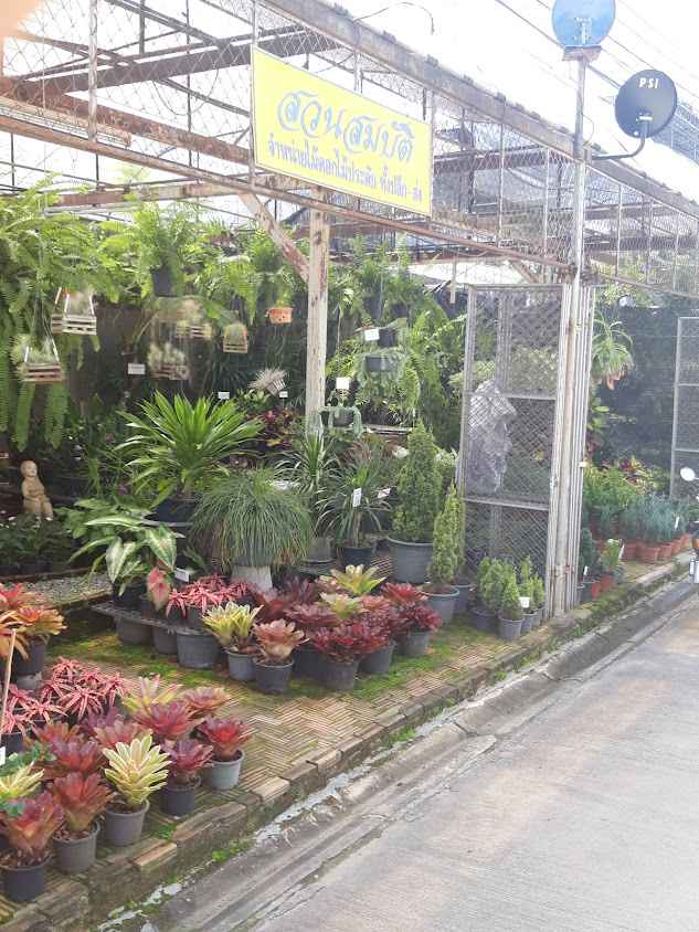 ร้าน สวนสมบัติ(หนุ่ม-ปอ)be happyplants shop