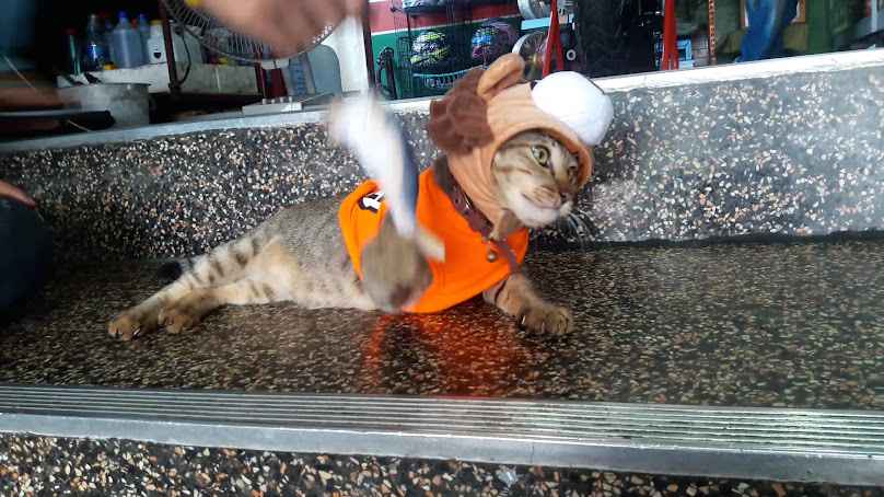 ร้าน ส.รวมเจริญยนต์ (S.R.Y Shop) - 3