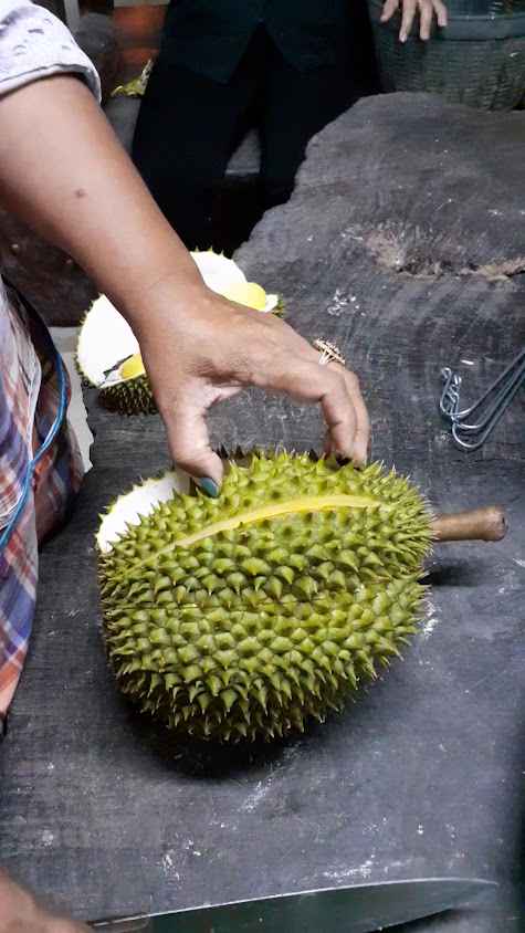 ร้าน 108 พันธุ์ไม้ไทยสาขา 2 บ้านหนองหิน ตำบล ตะพง อำเภอเมืองระยอง ระยอง - 4