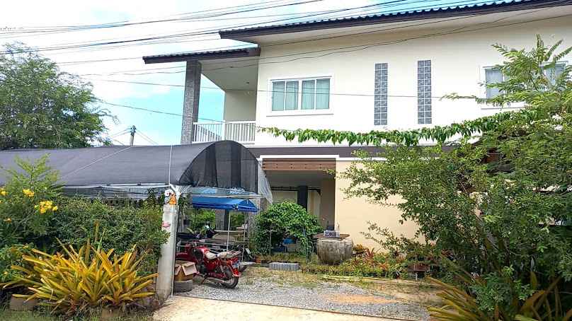 ร้าน Oxygen ขายต้นไม้ ตลาดสมอล คลอง ร5 - 2