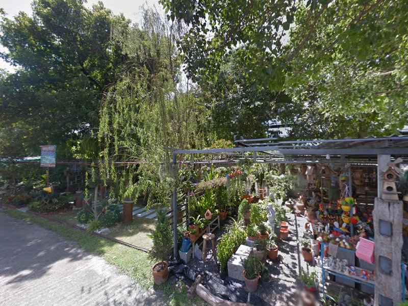 ร้านFish D