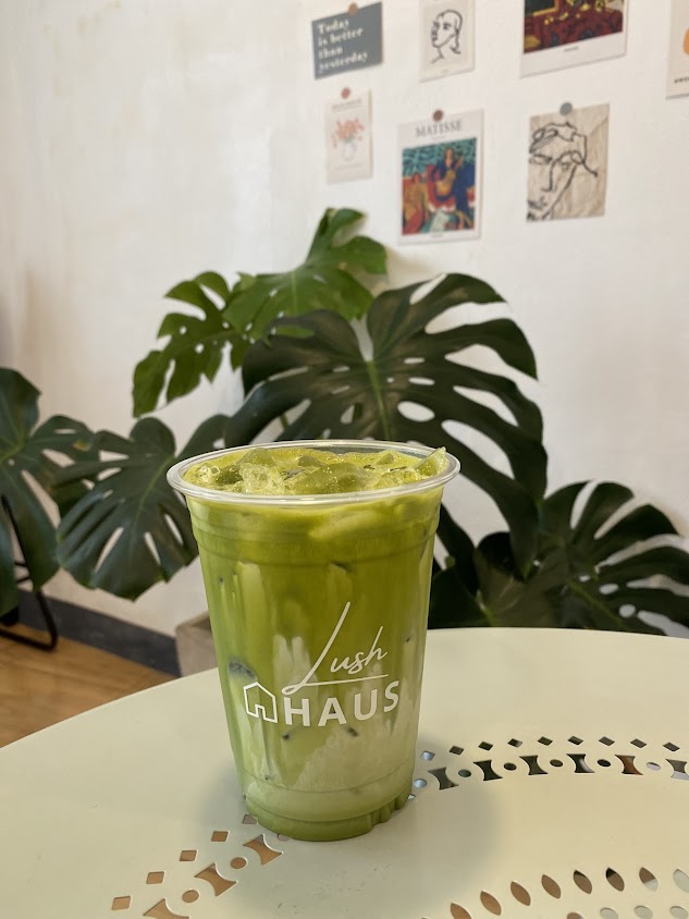 Lush Haus - 2