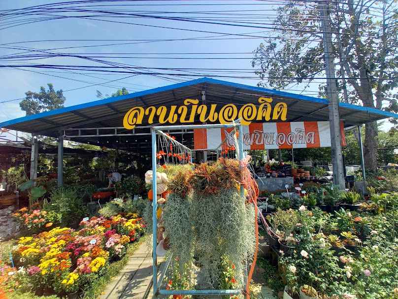 ลานอินทนิล - 4