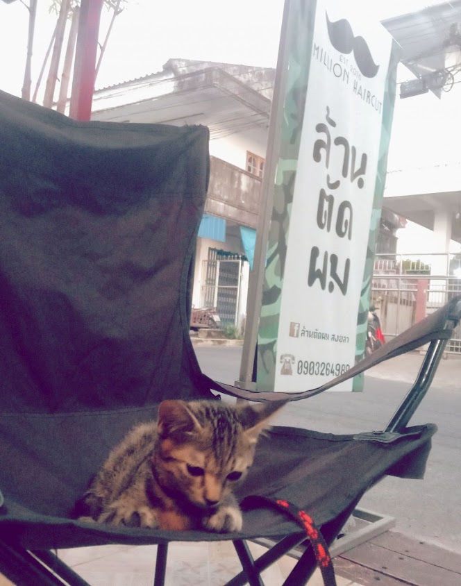 ล้านตัดผม สงขลา - BARBER BrotherChainSongkhla (ร้านตัดผม เฮียเชนสงขลา) - 3