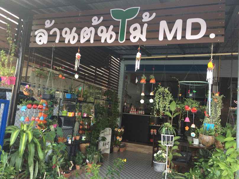 ล้านต้นไม้ MD.