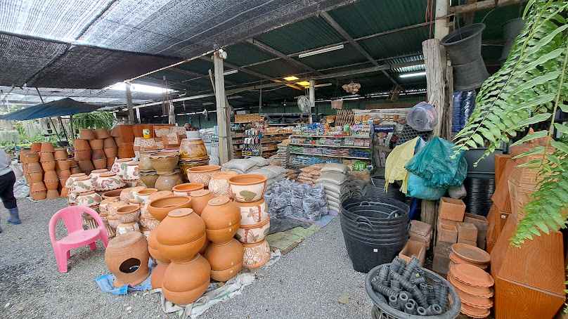 วสันต์ ต้นไม้และกระถางสามชุก (ร้านพี่กาญ) - 2