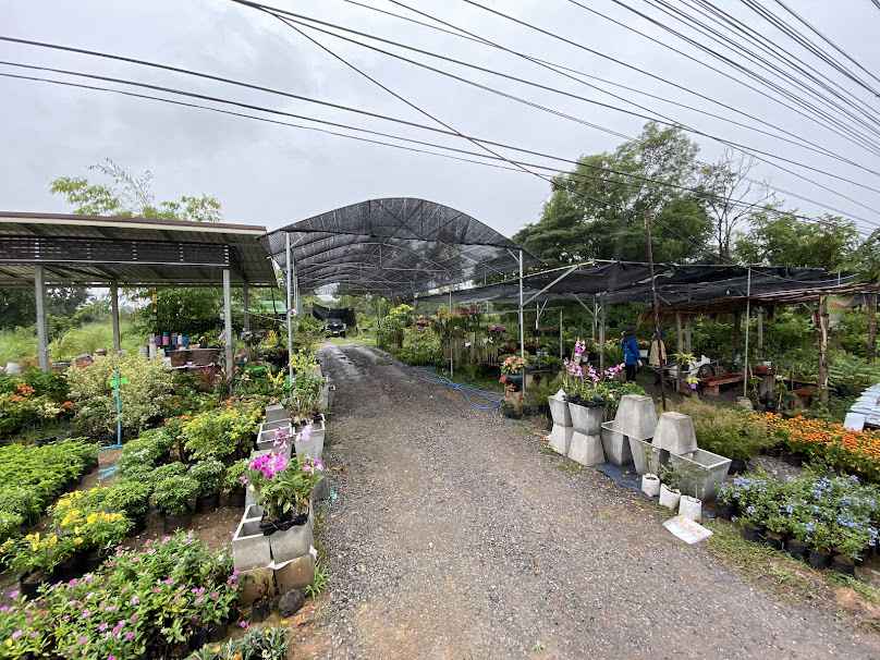 วิมลพันธุ์ไม้