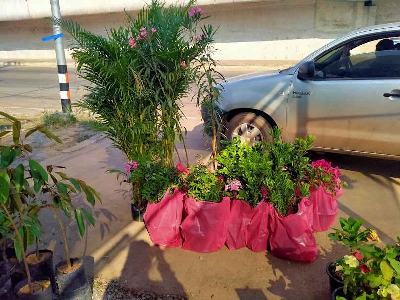 ศศิพรพันธุ์ไม้-จ.อุดรธานี - 2