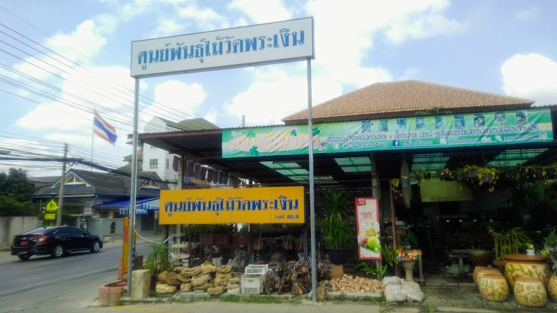 ศูนย์พันธุ์ไม้วัดพระเงิน - 2