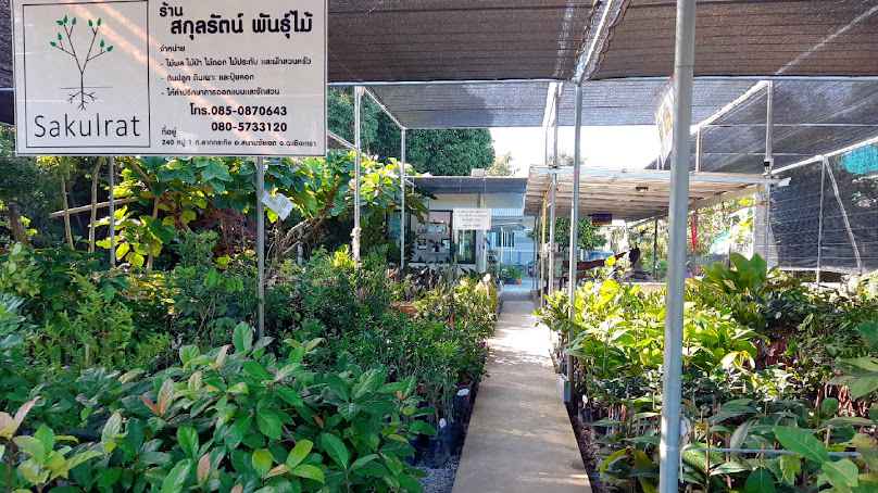 สกุลรัตน์ พันธุ์ไม้