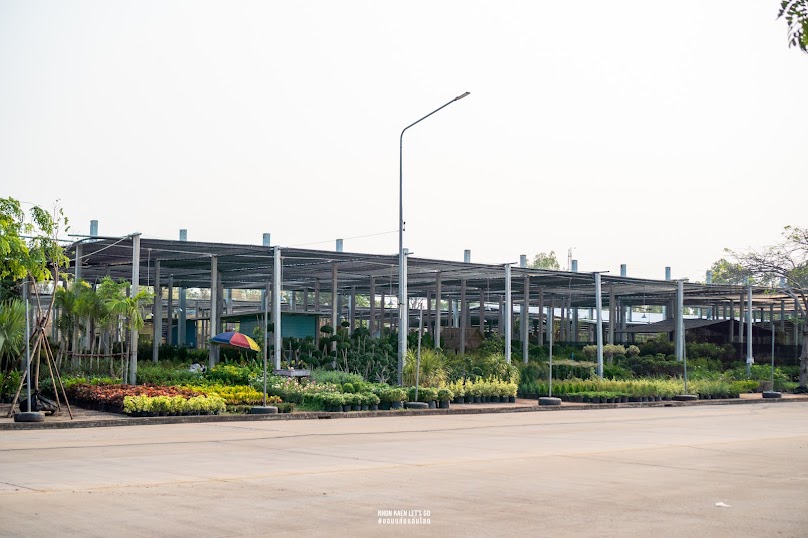 สถานีต้นไม้ บขส.3 ขอนแก่น - 4