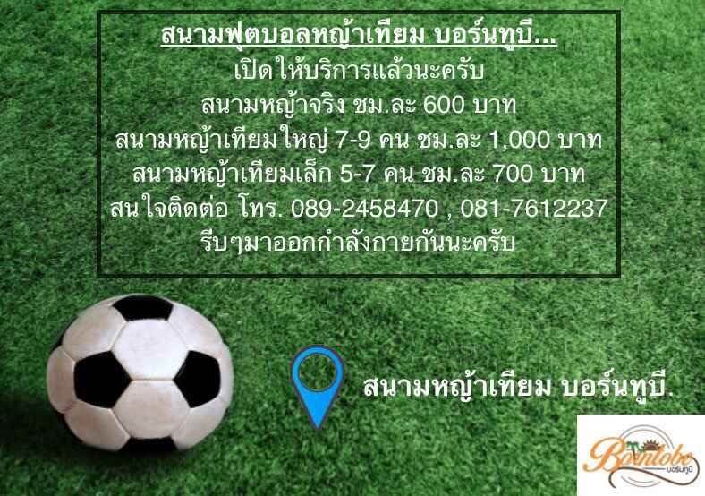 สนามฟุตบอลหญ้าเทียม บอร์นทูบี - 2