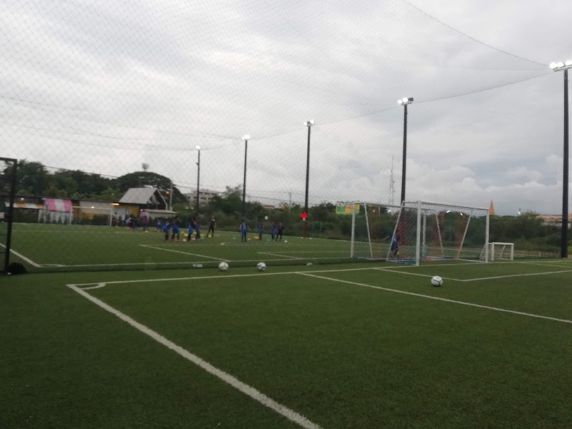 สนามหญ้าเทียมมาเนียร์ - 3