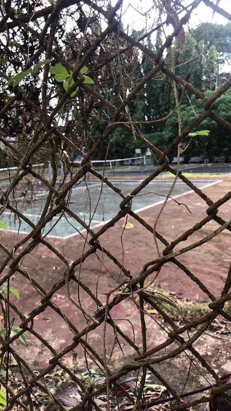 สนามเทนนิส ตรัง Tennis Court Trang