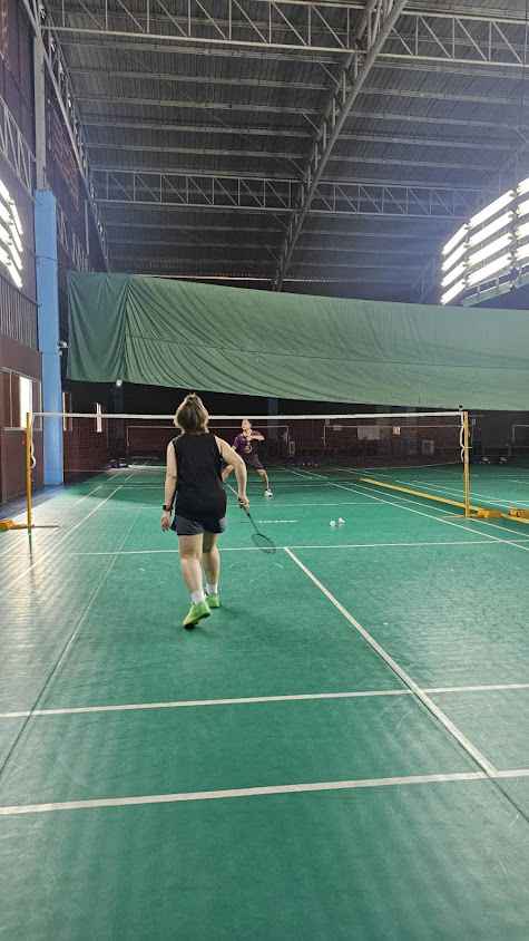 Badminton hippocampus