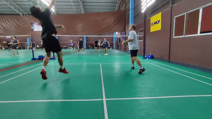 Badminton hippocampus - 2