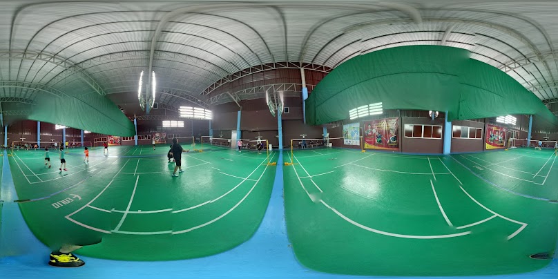 Badminton hippocampus - 4