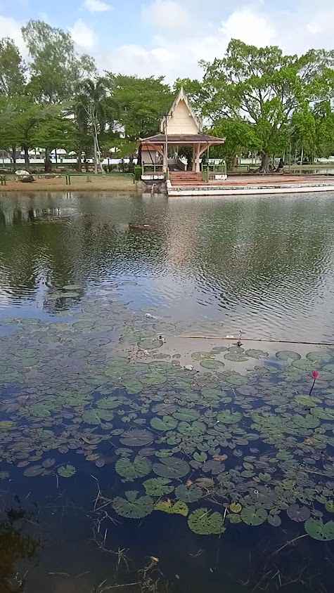 สนามโรงพิธีช้างเผือก - 3