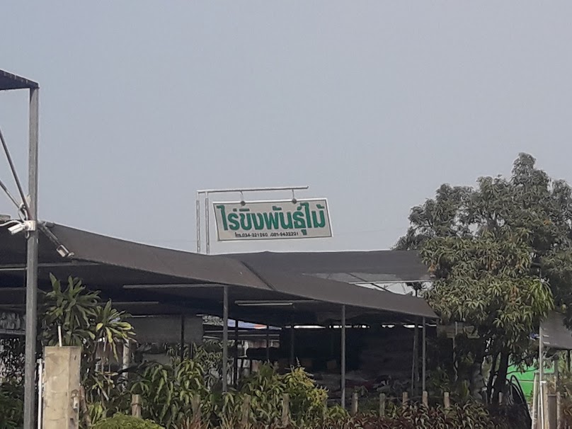 สมบูรณ์พันธุ์ไม้ - 4