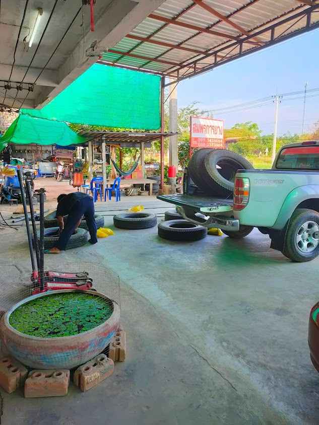 สมพรการยาง