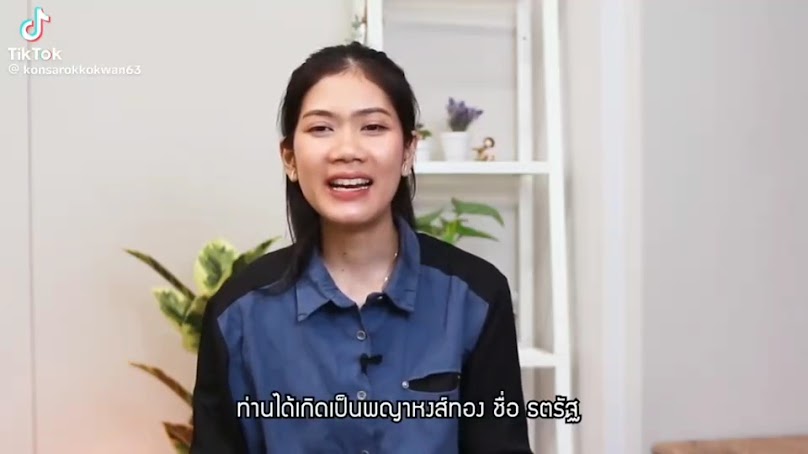 สมพรการยาง - 3
