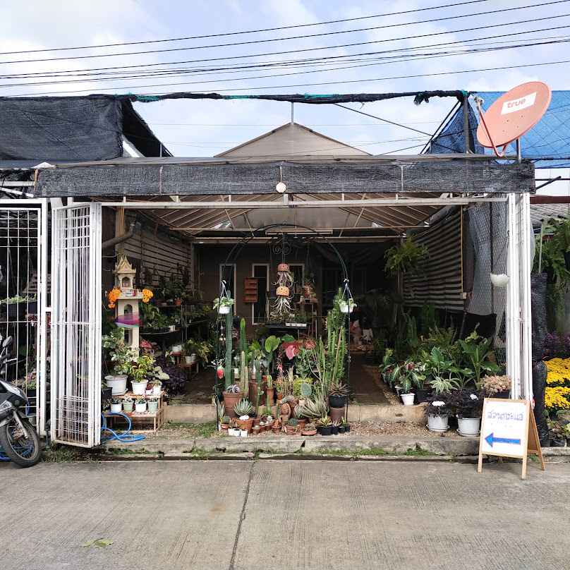 สวนกระแส