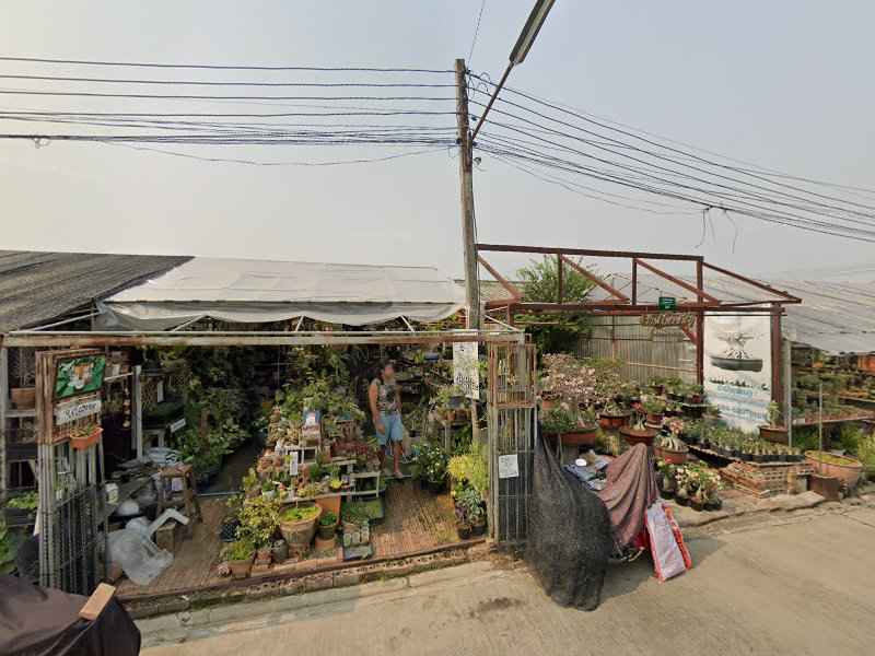 สวนกระแส - 4