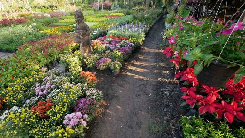 สวนจิราพรพันธุ์ไม้ - 3