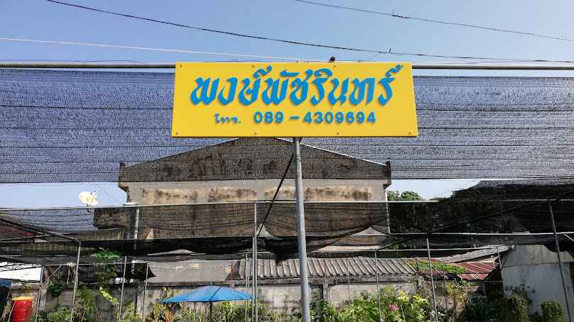 สวนช่างสุข - 3