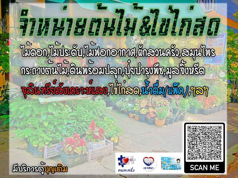 สวนต้นไม้ดาบดิษฐ์