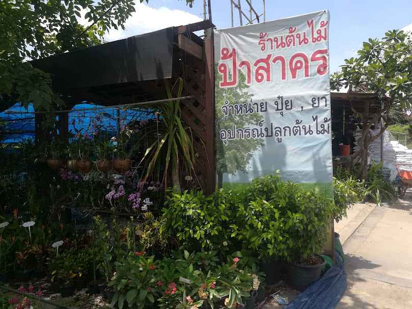 สวนต้นไม้ยุวดี - 2