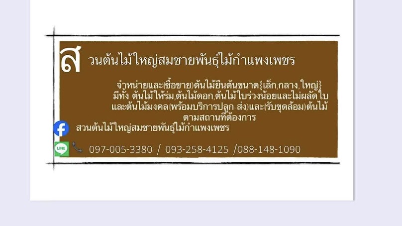 สวนต้นไม้ใหญ่ (เต้ Nattapong garden)