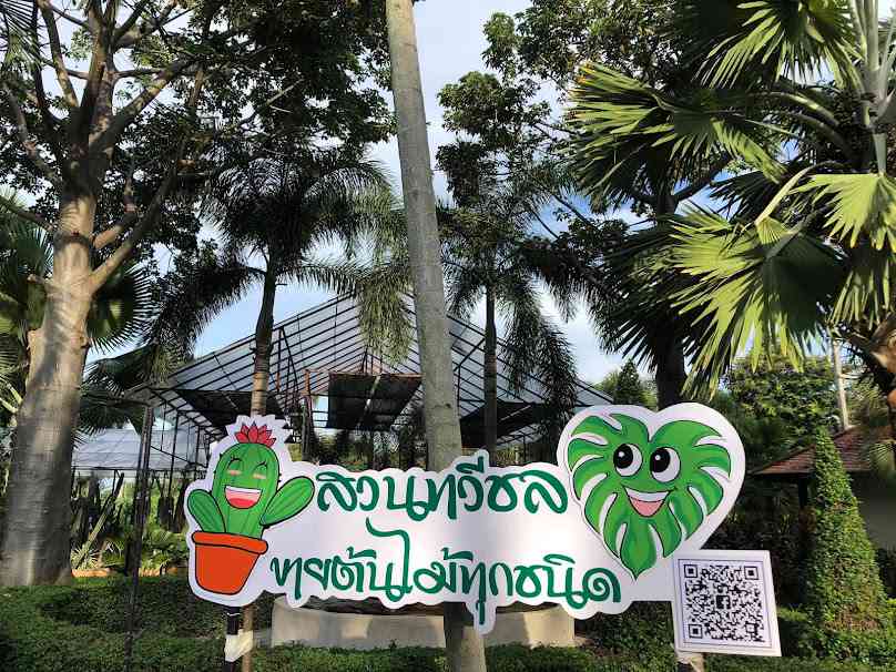 สวนทวีชลขายต้นไม้ทุกชนิด - 4