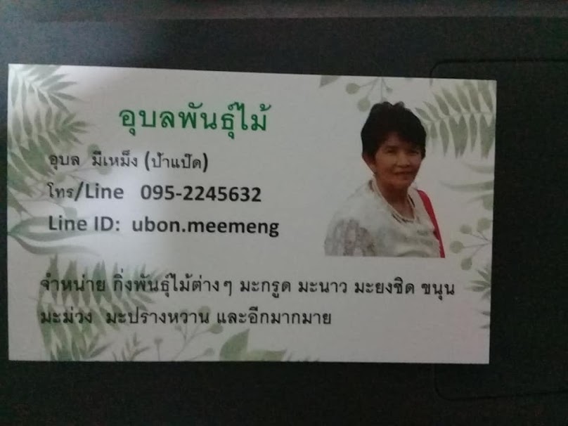 สวนทองจรัส - 4