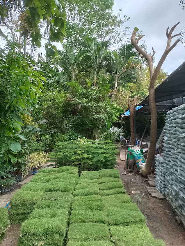 สวนธัญญเจริญสาขา2 - 3