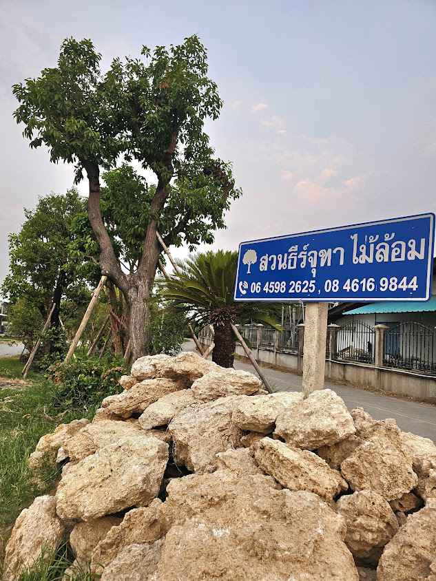สวนธีร์จุฑา ไม้ขุดล้อม - 2