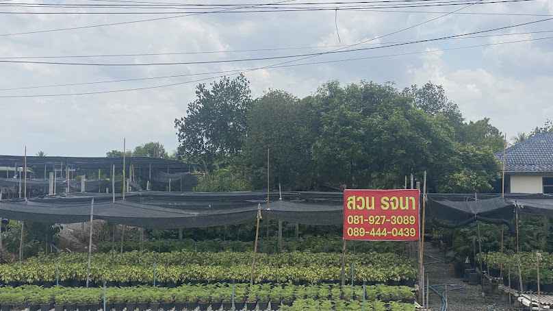 สวนนานาพันธุ์ไม้ - 3